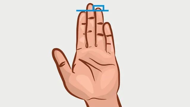 Ungkap Kepribadian Tersembunyi dari Panjang Jari Tangan