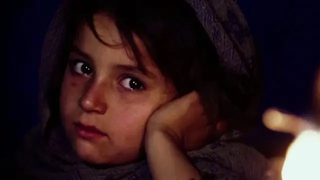 Film Walnut Tree (Istimewa)