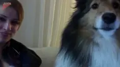 Sedikit cahaya hijau muncul. Anjing itu tidak menyukainya dan terus menatap pemiliknya untuk mematikannya.
