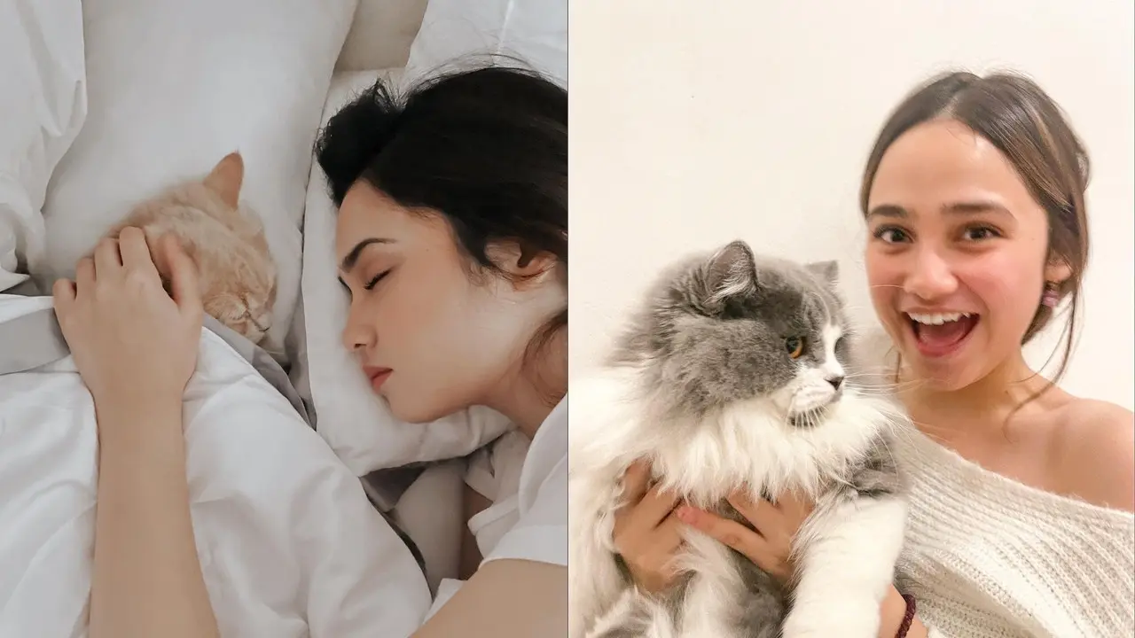 Syifa Hadju dan Kucing