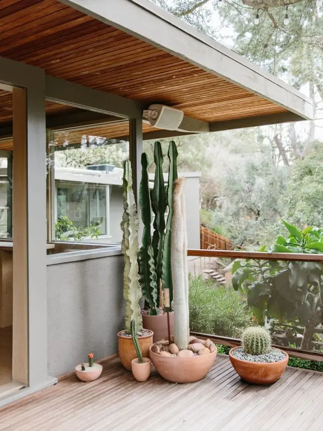 Desain Balkon Terbuka dengan Tanaman Kaktus