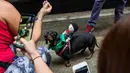 Seekor anjing berpose saat mengikuti "HK Doggie Dash 2018" di Hong Kong (15/4). Puluhan anjing pugs dan dachshund memberi keterampilan berlari dengan penuh semangat di perlombaan tersebut. (AFP Photo/Isaac Lawrence)