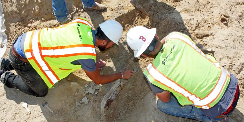 PHOTO: Mengejutkan, Fosil Dinosaurus Berusia 66 Juta Tahun Ditemukan di Colorado