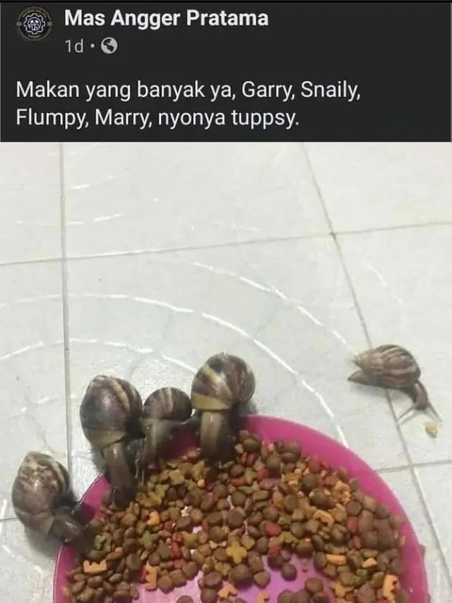 10 Potret Nyeleneh Saat Beri Makan Hewan Ini Bikin Tepuk Jidat