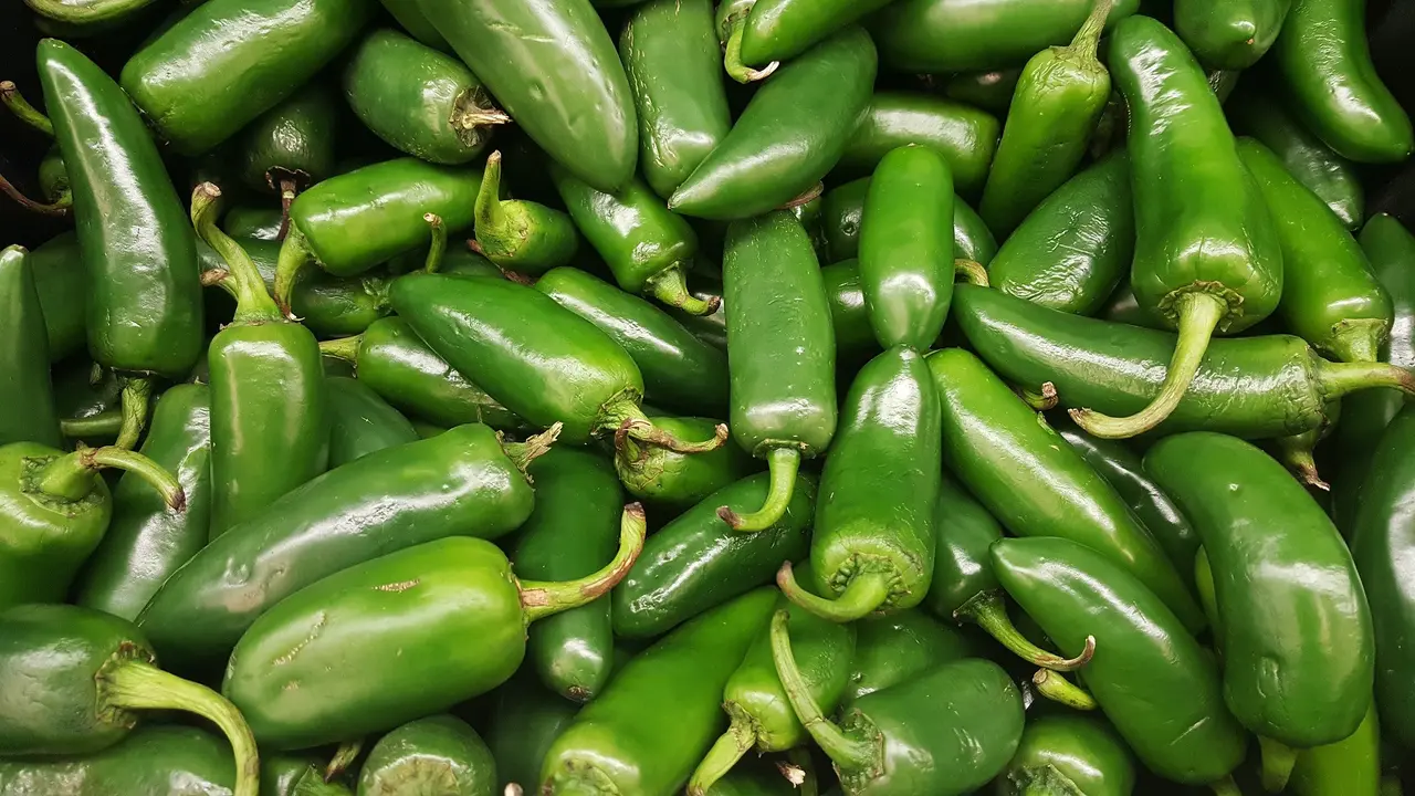 ilustrasi jalapeno