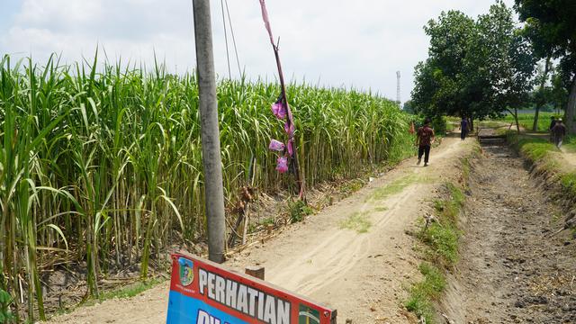 PT Sinergi Gula Nusantara (SGN) yang dikenal dengan Sugar Co