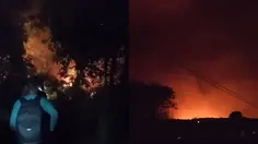 Kebakaran Melanda Taman Nasional Way Kambas, Petugas Berjibaku Padamkan Api