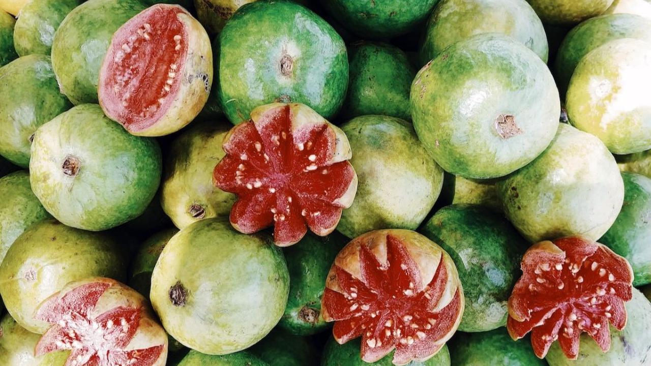 10. Jambu Biji