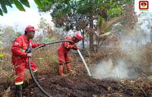 Manggala Agni Berjibaku Padamkan Karhutla Pelalawan Riau, 4 Hektare Lahan Terbakar