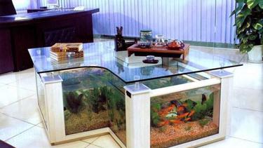 60+ Desain Hiasan Aquarium Terbaru