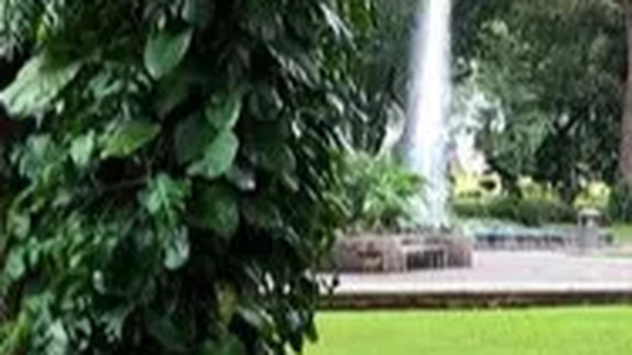 Hutan Kota UKI Cawang Diduga jadi Tempat LGBT, Ini Tindakan Pemprov DKI