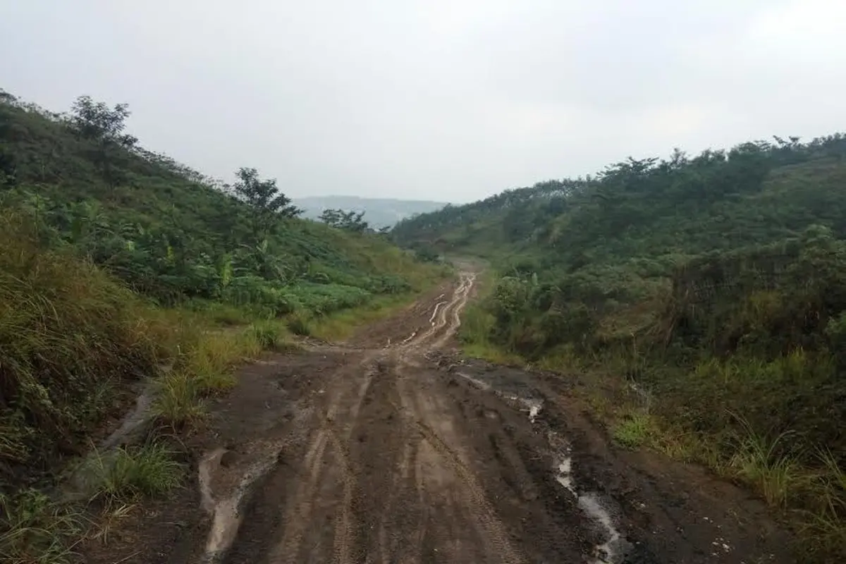 Proyek Jalur Puncak II