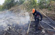 BPBD Kotim Sigap Tanggulangi Kebakaran Lahan di Kebun Warga, Imbau Masyarakat Waspada