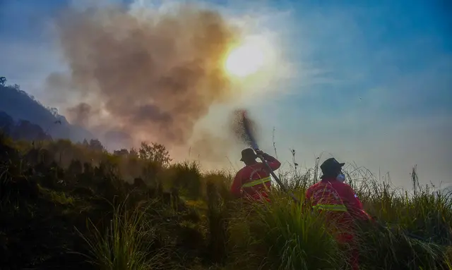 Karhutla Gunung Bromo Meluas Hingga Probolinggo
