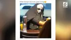 Sosok menakutkan  'Valak' muncul di sebuah restoran cepat saji. Alih-alih membuat orang sekitar ketakutan, tapi yang terjadi malah sebaliknya. Tingkah valak ini malah bikin ngakak.