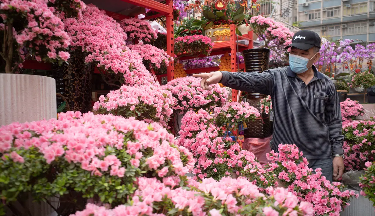 Seorang pedagang menjual azalea di pasar bunga di area Prince Edward Hong Kong (16/1/2022). Tahun Baru Imlek China jatuh pada 1 Februari 2022. (AFP/Bertha Wang)