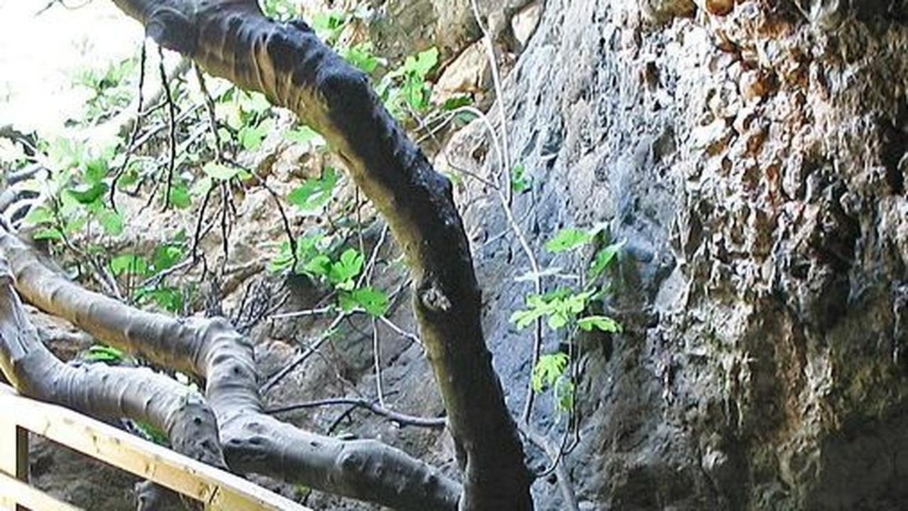 Ada "Portal Menuju Neraka" di Gua Yerusalem, Ditemukan Tengkorak Manusia dan Belati