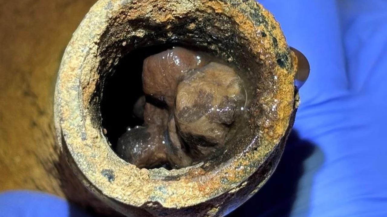 Isi dari masing-masing botol itu dikeluarkan dengan hati-hati dan dikeringkan di lab arkeologi Mount Vernon.&nbsp;