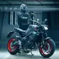 Yamaha MT-09. (Ride Apart)