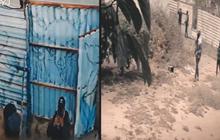 Jadi Kaki Tangan Israel, Agen Rahasia & Pengkhianat Palestina Langsung Dikirim Pejuang Hamas ke Alam Baka