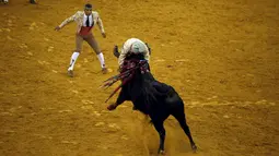 Seorang tim Alcochete Forcados terlihat di seruduk banteng di arena adu banteng Campo Pequeno di Lisbon, Portugal (1/10/2015). Forcados masih menggunakan cara tradisional Portugal menangkap banteng tanpa bantuan alat. (REUTERS/Rafael Marchante)