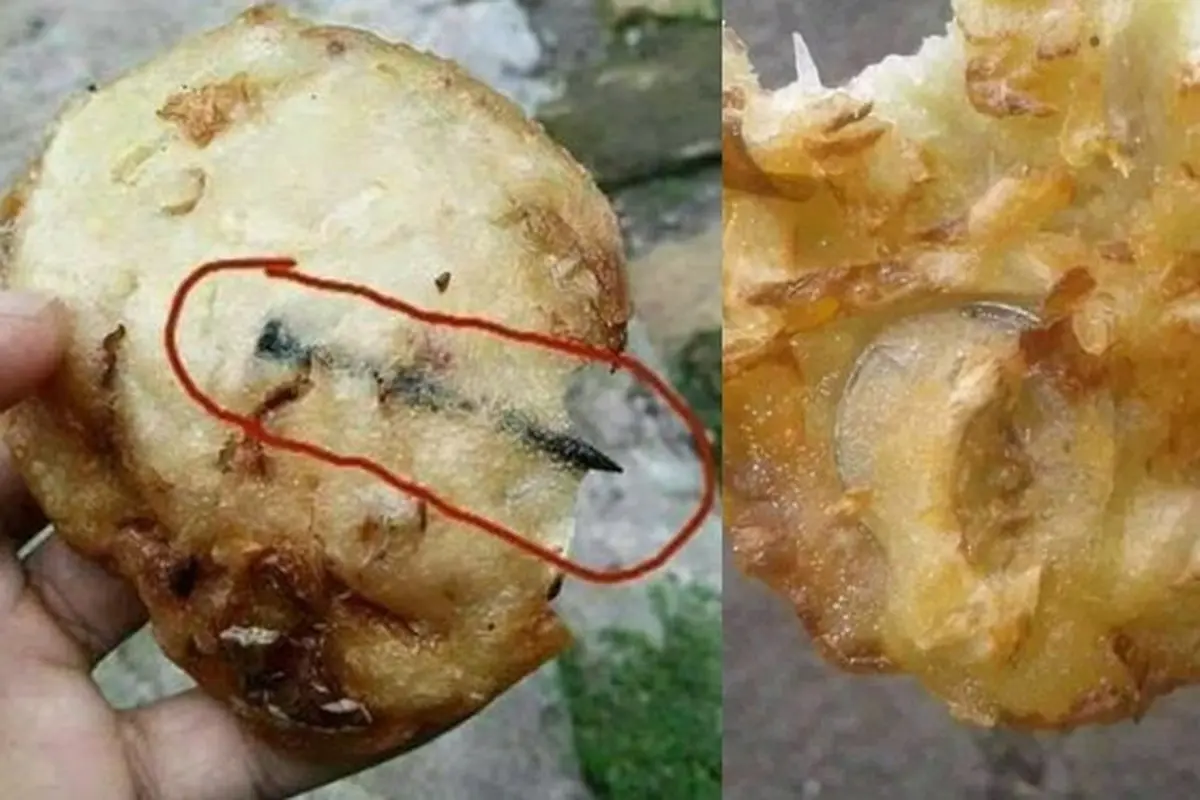 6 Momen Apes saat Mau Makan Bakwan Ini Bikin Geleng Kepala