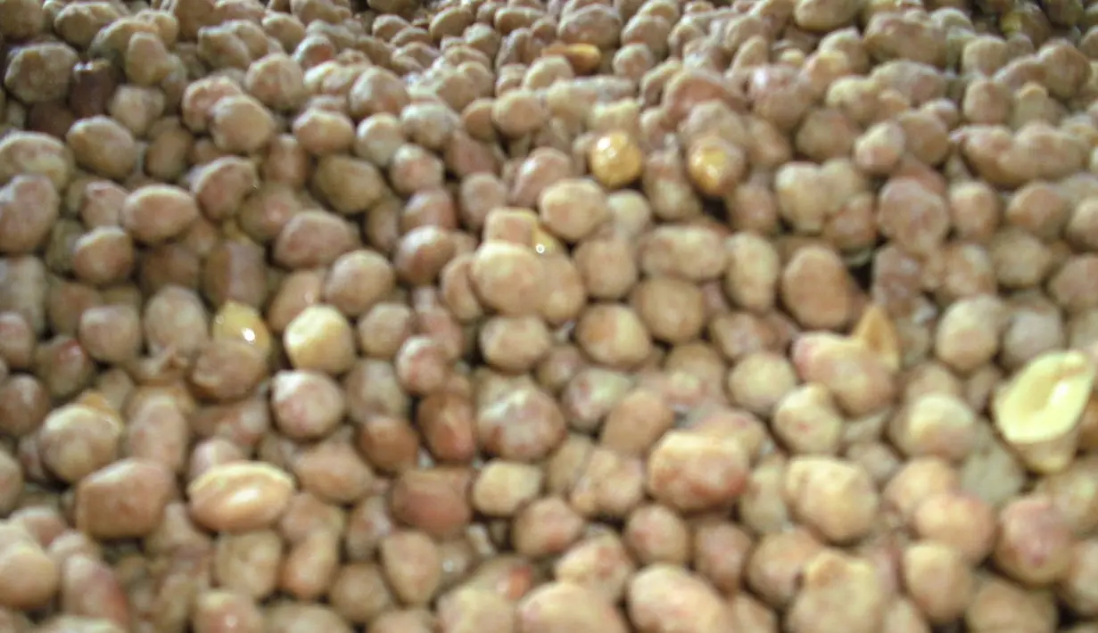 Kebiasaan orang-orang yang seringkali ngobrol sambil ngemil menjadikan kacang sebagai favorit makanan saat duduk bersantai bersama keluarga, tetangga maupun teman di Hari Raya Idul Fitri atau Lebaran. (Istimewa)