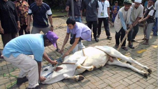 [Bintang] Joko Widodo