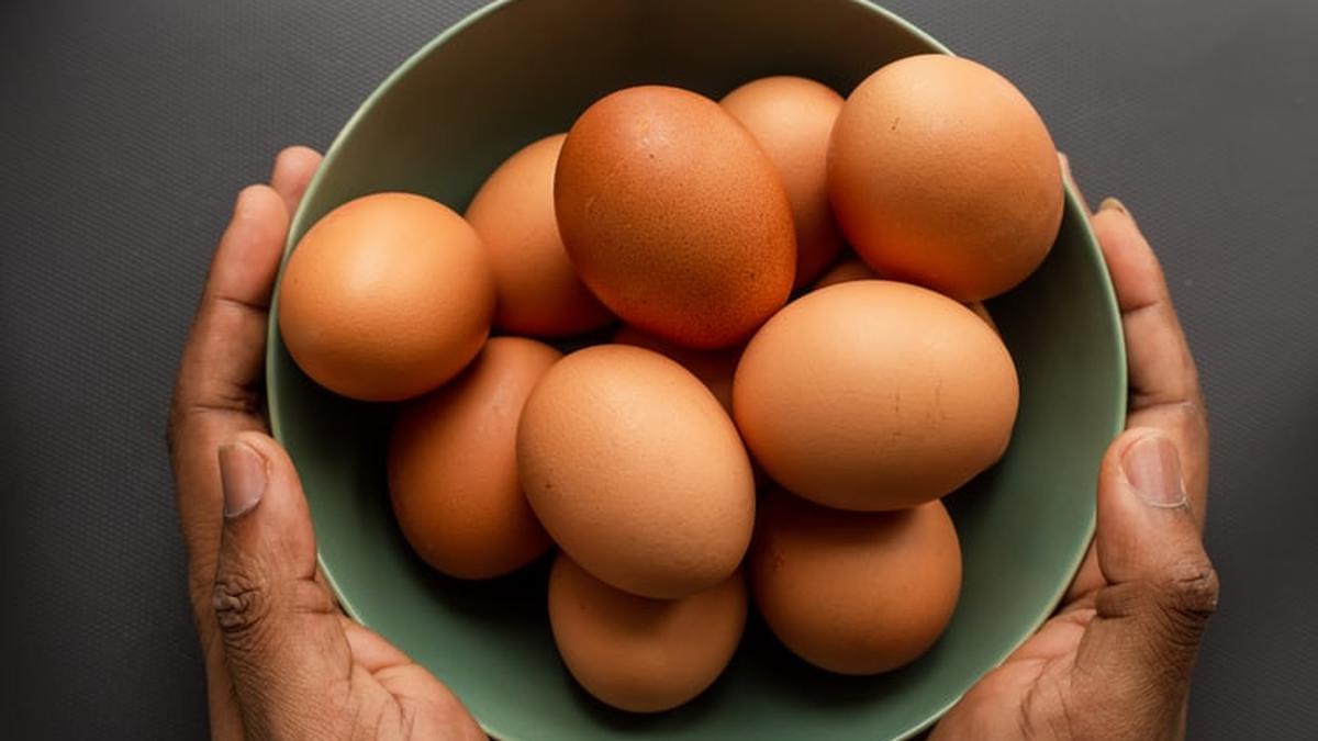 4 Cara Mengetahui Telur yang Kamu Beli Masih Baik atau Tidak