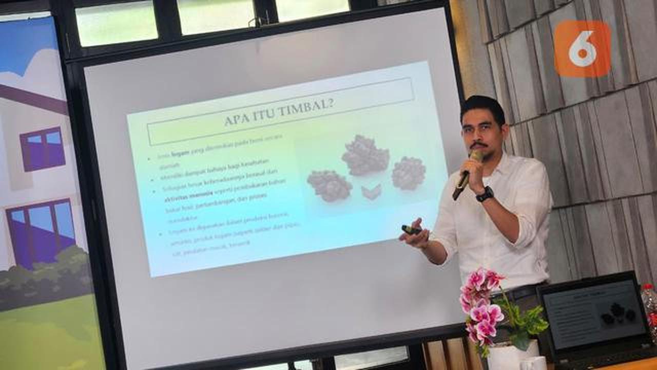 Tak Terlihat tapi Mematikan, Ini Dampak Timbal pada Otak dan Ginjal Anak