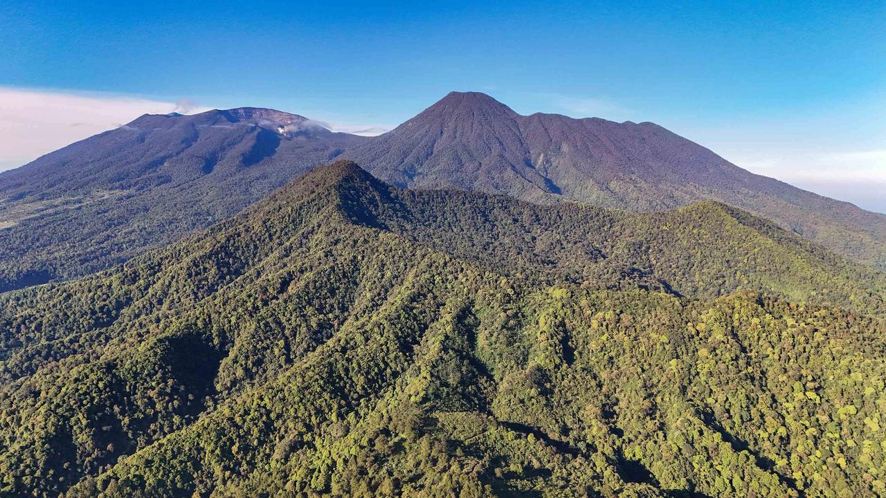 FOTO: Pesona Alam Puncak Masih Menjadi Tujuan Favorit Warga Saat Libur Panjang