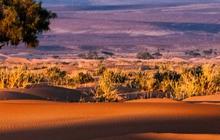 Bukan Fatamorgana, 6 Danau Ini Benar-Benar Ada di Gurun Sahara
