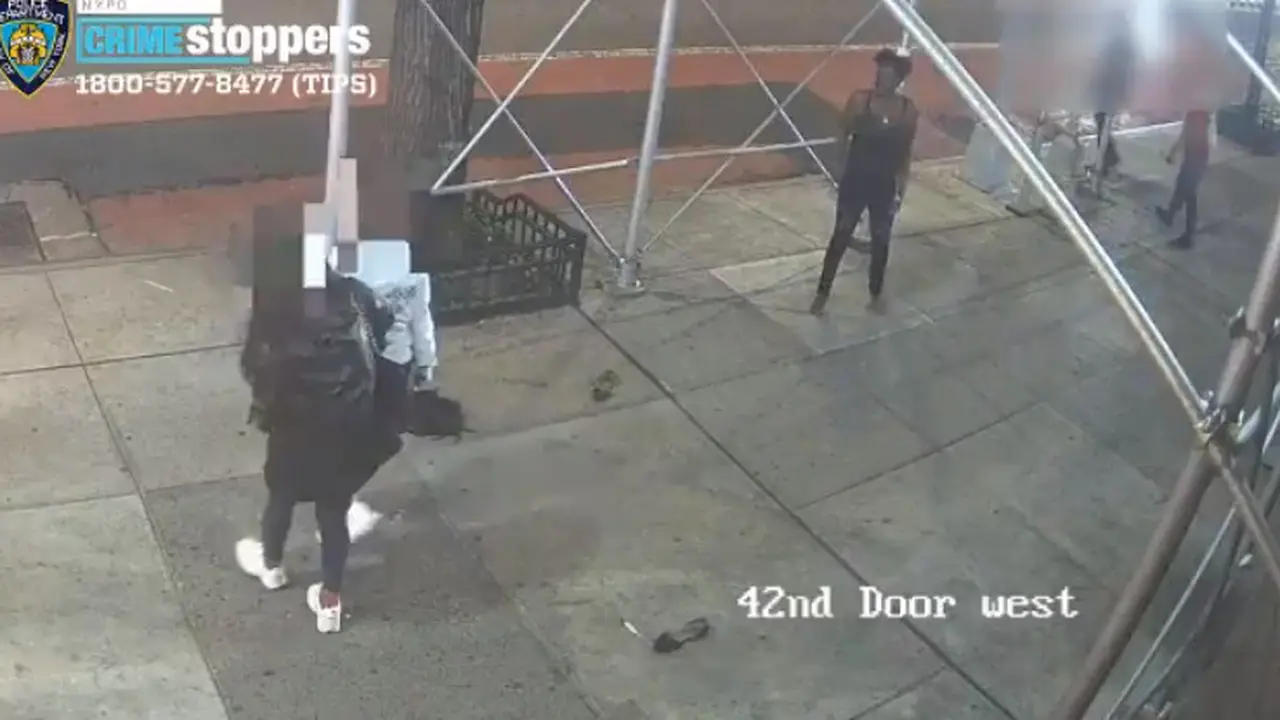 Wanita keturunan Asia diserang dengan palu di New York.