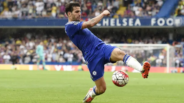 Cesc Fabregas