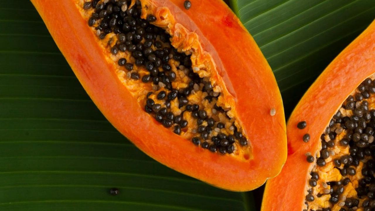 Amankah Pepaya Dikonsumsi untuk Mengontrol kadar Gula Darah?