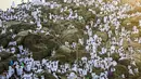 Ribuan umat muslim berkumpul di Bukit Jabal Rahmah saat mereka tiba di Arafah untuk menjalani wukuf di luar kota suci Mekah, Arab Saudi (30/8).  Bukit Jabal Rahma dikenal sebagai bukit kasih sayang. (AFP Photo / Ahmad Al-Rubaye)