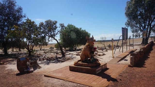 Area pemakaman anjing di kawasan Wheat Belt, negara bagian Australia Barat (Liputan6.com/Happy Ferdian)