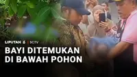Bayi Ditemukan Tergeletak di bawah Pohon