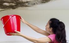 Kenapa Rumah Sering Bocor Saat Hujan Pertama?