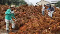 Produksi CPO Astra Agro Lestari Capai 1,39 Juta Ton
