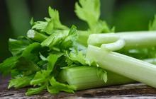Manfaat Tersembunyi Daun Seledri, Bisa Turunkan Darah Tinggi Secara Alami