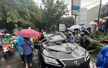 Pohon Tumbang Akibat Hujan & Angin Kencang di Pondok Indah Timpa Mobil Mewah, Pengendara Meninggal Dunia