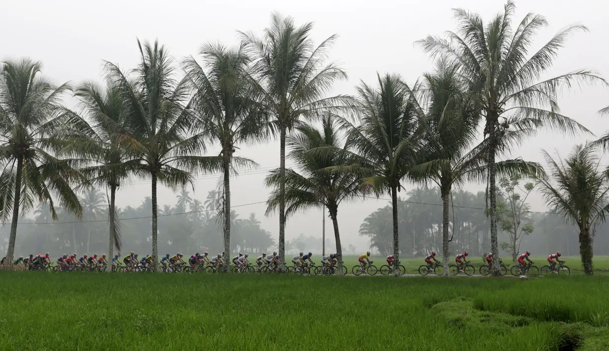 Para pebalap sepeda saat melewati persawahan di daerah Lembang Jaya dalam Etape 4 Tour de Singkarak 2015, Selasa (6/10/2015). (Bola.com/Arief Bagus)