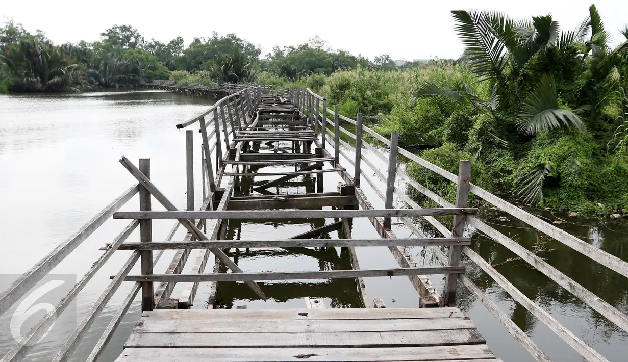 Jembatan penghubung di Suaka Marga Satwa Muara Angke (SMMA) Balai Konservasi SDA DKI Jakarta, (18/3). Setelah 60 sebagai cagar alam, pada tahun 1998 Pemerintah mengubah menjadi suaka margasatwa. (Liputan6.com/Gempur  M Surya)