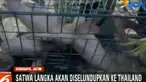 Petugas juga mengamankan barang bukti lain berupa bukti transaksi jual beli satwa.