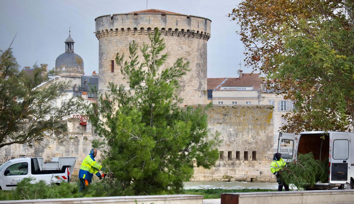 Sejumlah pohon tumbang di depan salah satu menara La Rochelle di La Rochelle, Prancis Barat Tengah pada tanggal 2 November 2023 (YOHAN BONNET/AFP)