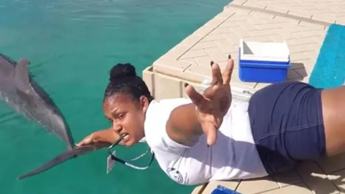 copyright by Dolphin Encounters