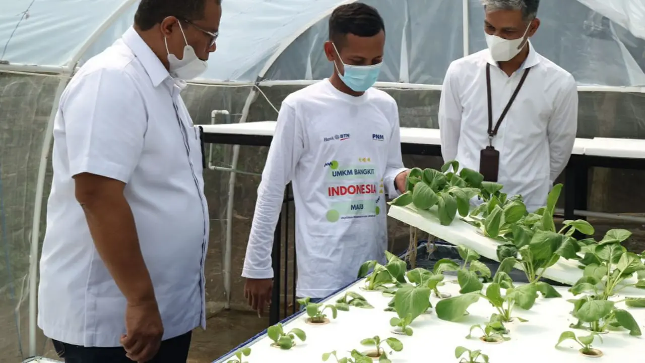 Kolaborasi BTN dan PNM : Greenhouse Hidroponik Desa Sajira