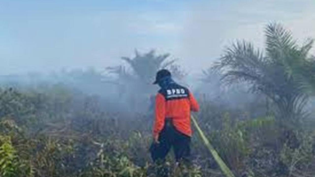 BPBD Kalbar Intensifkan Pembasahan Lahan Cegah Karhutla Jelang Kemarau 2026