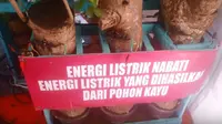 Tanggapan BPPT soal Temuan Listrik dari Pohon Kedondong 